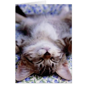 I Liebe, dass du eine Grafikkarte hast