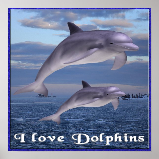 I Liebe Delphinplakat Poster (Vorne)