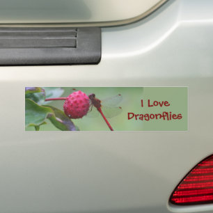 I Liebe Dragonflies Natur Autoaufkleber