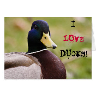 I Liebe Ducks Card
