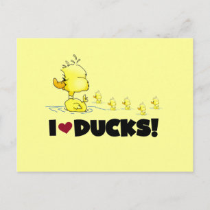 I Liebe Ducks Tshirts und Geschenke Postkarte