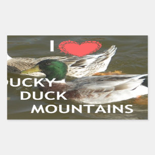 I Liebe Ducky Duck Mountains Design Rechteckiger Aufkleber