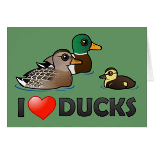 I Liebe-Enten