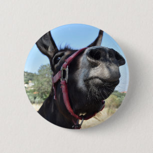 I Liebe-Esel! Button