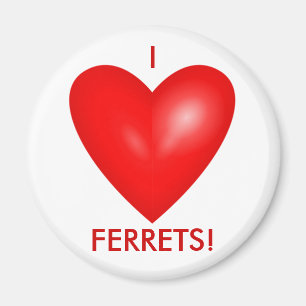 I Liebe Ferrets mit dem Roten Herz Magnet