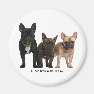 I Liebe Französischer Bullhunde Magnet