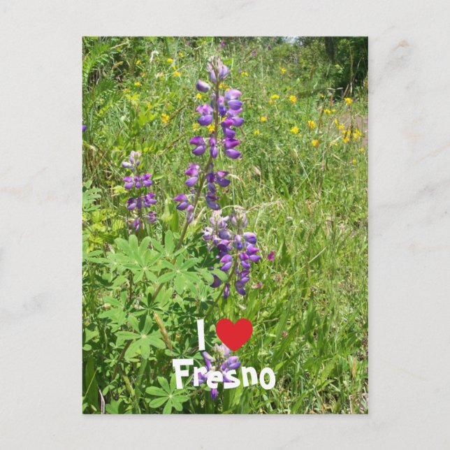 I Liebe Fresno Postkarte (Vorderseite)