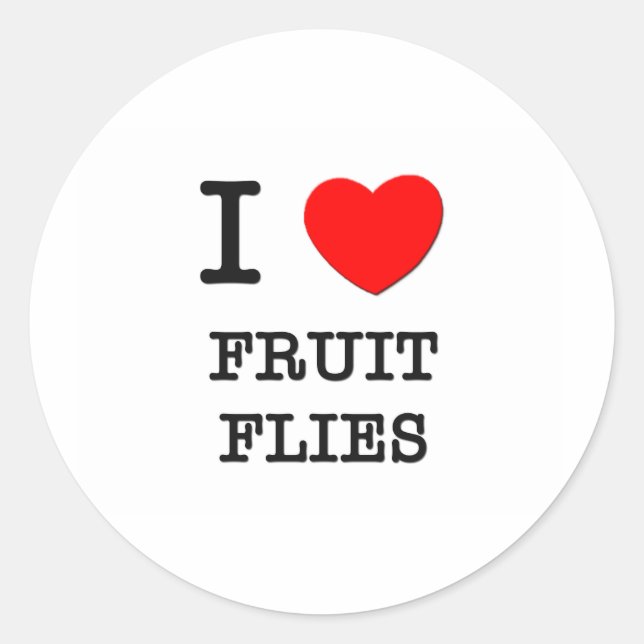 I Liebe Fruchtfliegen Runder Aufkleber (Vorderseite)