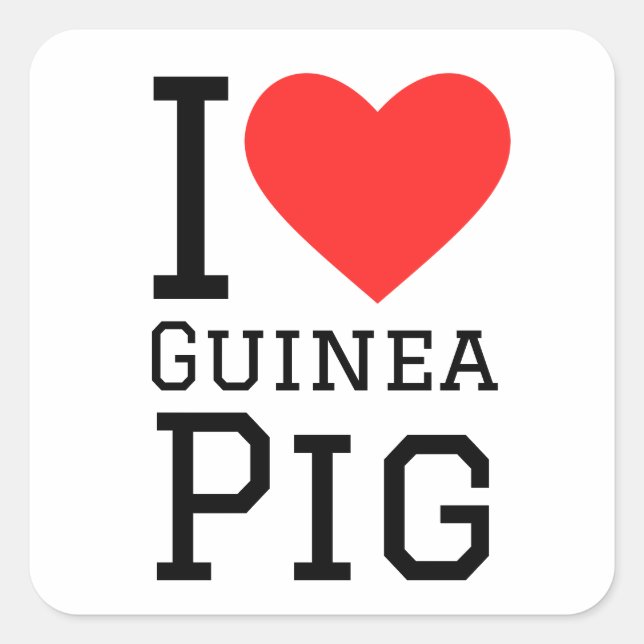 I LIEBE GUINEA QUADRATISCHER AUFKLEBER (Vorderseite)