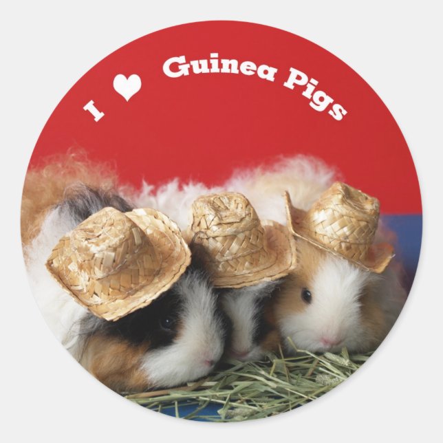 I Liebe Guinea Schweine Aufkleber (Vorderseite)