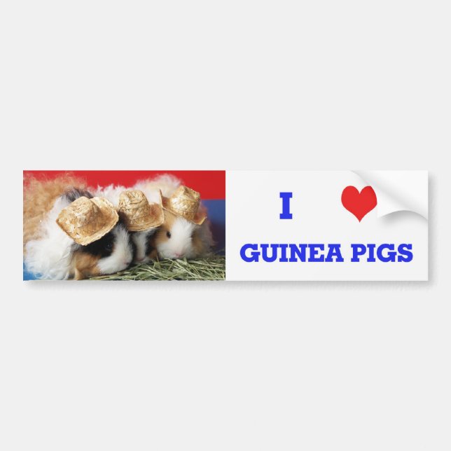 I Liebe Guinea Schweine Autoaufkleber (Vorne)