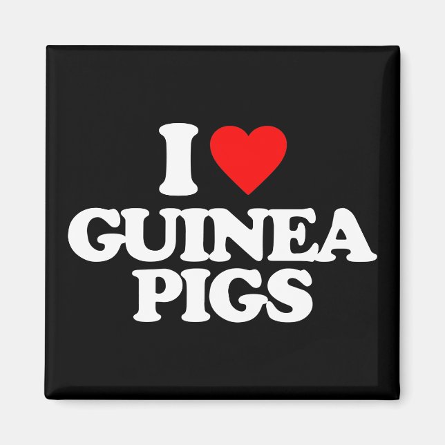 I LIEBE GUINEA SCHWEINE MAGNET (Vorne)