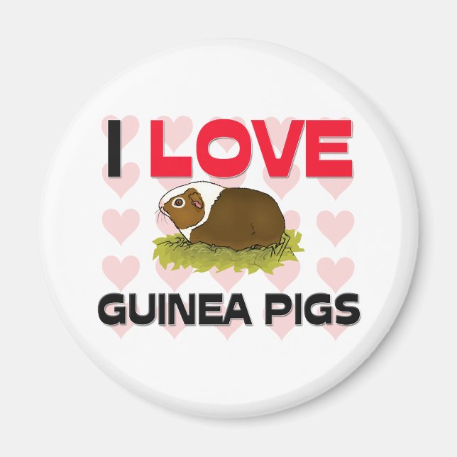 I Liebe Guinea Schweine Magnet (Vorne)