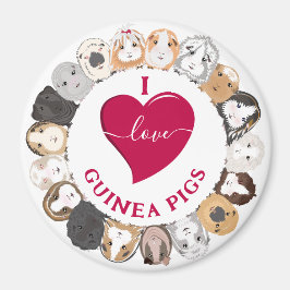 I Liebe Guinea Schweine Magnet
