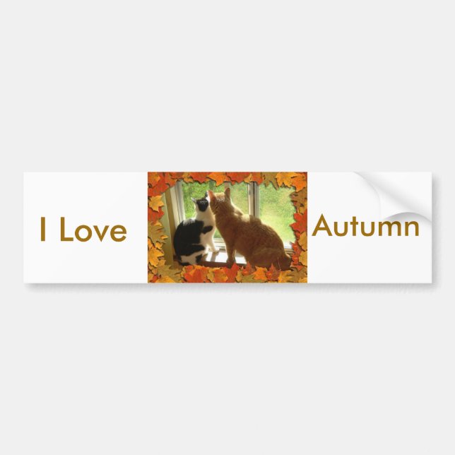 I Liebe Herbst Autoaufkleber (Vorne)