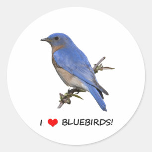 I Liebe (Herz) Bluebirds Runder Aufkleber