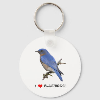 I Liebe (Herz) Bluebirds Schlüsselanhänger