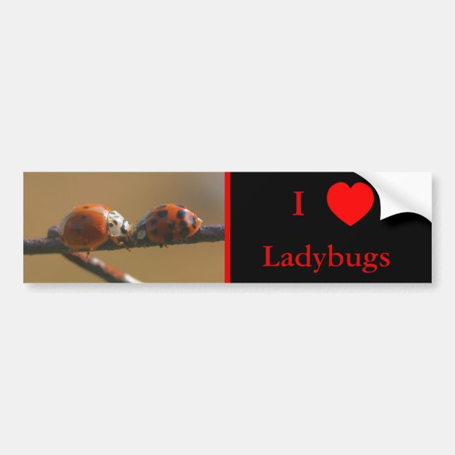 I Liebe Herz Ladybugs Natur 3 Autoaufkleber (Vorne)