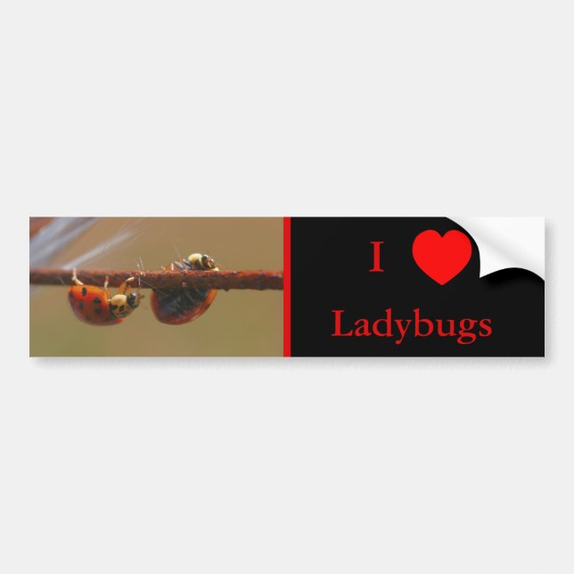I Liebe Herz Ladybugs Natur Autoaufkleber (Vorne)