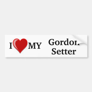 I Liebe (Herz) mein Gordon-Setzer-Hund Autoaufkleber