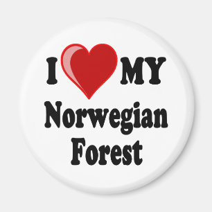 I Liebe (Herz) meine norwegische Waldkatze Magnet