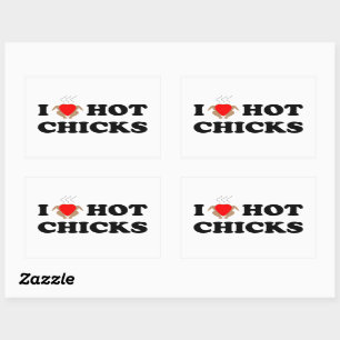 I Liebe Hot Chicks   Funny Sticker Set