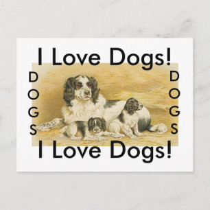 I Liebe Hunde Postkarte