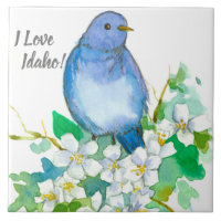 I Liebe Idaho Bluebird Syringa Wildblume