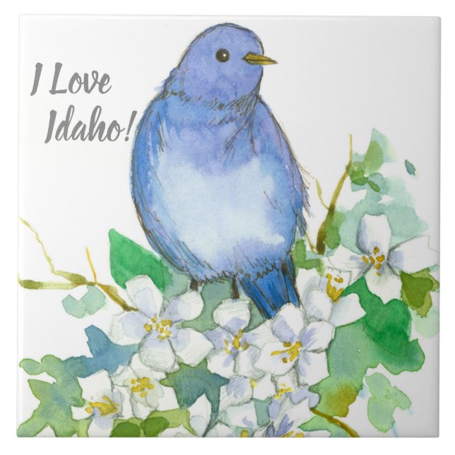 I Liebe Idaho Bluebird Syringa Wildblume Fliese (Vorderseite)