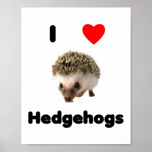 I LIEBE IGEL POSTER