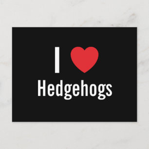 I LIEBE IGEL POSTKARTE