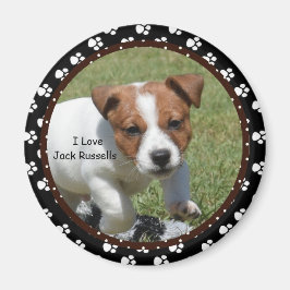 I Liebe Jack Russells Magnet