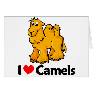 I Liebe-Kamele