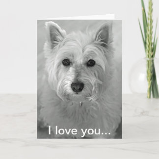 I Liebe kardieren Sie - niedliche Westie Karte