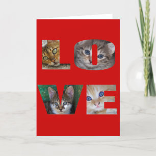 I Liebe Katzen Feiertagskarte
