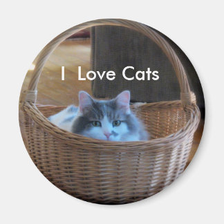I Liebe Katzen Magnet
