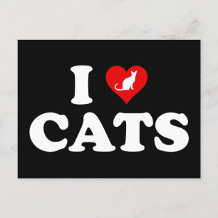 I Liebe Katzen Postkarte