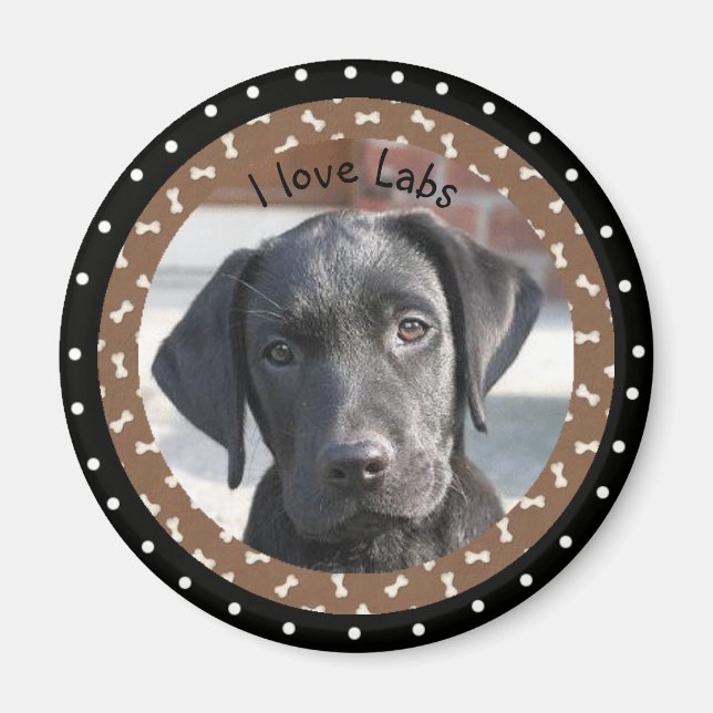 I Liebe Labradors Magnet (Vorne)