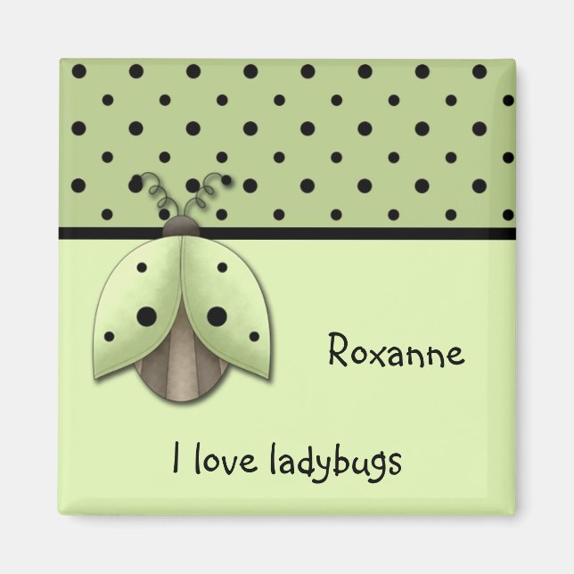 I Liebe Ladybugs Magnet (Vorne)
