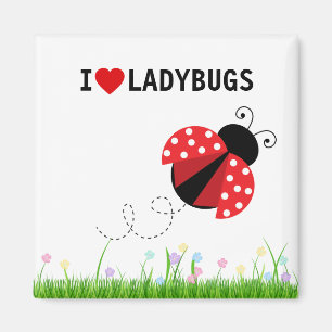 I Liebe Ladybugs Magnet