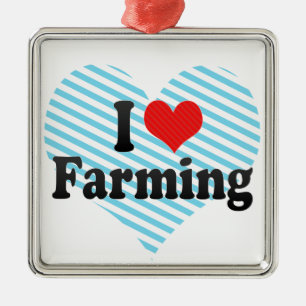 I Liebe-Landwirtschaft Silbernes Ornament
