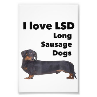 I Liebe Lange Wurst Hunde Funny Dackel Dackel Fotodruck