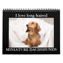 I LIEBE Langhaarige MINIATURDACKELN Kalender
