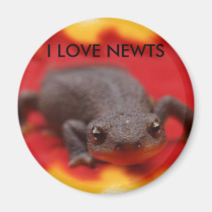 I Liebe Magnet