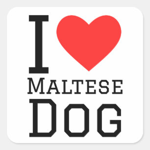 I Liebe maltesischer Hund Quadratischer Aufkleber