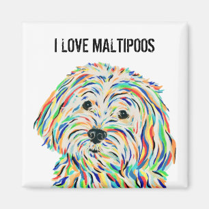 I Liebe Maltipoos Magnet