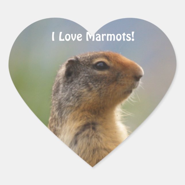 I Liebe Marmots Wildlife Foto Heart Sticker (Vorderseite)
