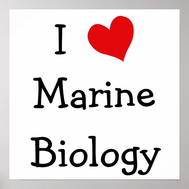 I Liebe Meeresbiologie Poster (Vorne)