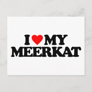 I LIEBE MEERKAT POSTKARTE