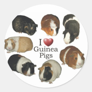 I Liebe-Meerschweinchen-Aufkleber Runder Aufkleber